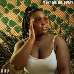 收聽Dilu的Meet Me Halfway歌詞歌曲