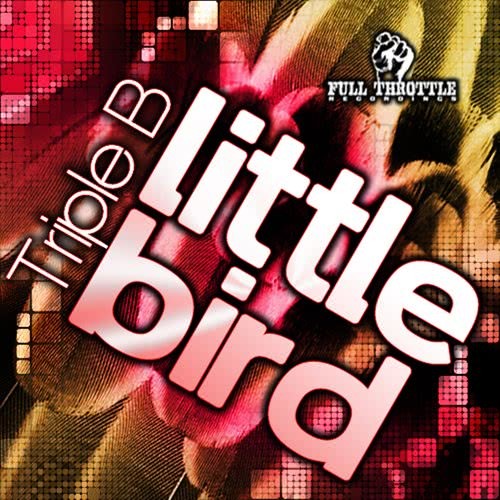 Little Bird (Ronnie Maze Instrumental Mix)