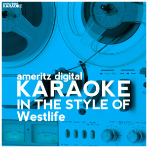 ดาวน์โหลดและฟังเพลง You Raise Me Up (Karaoke Version) พร้อมเนื้อเพลงจาก Ameritz Digital Karaoke