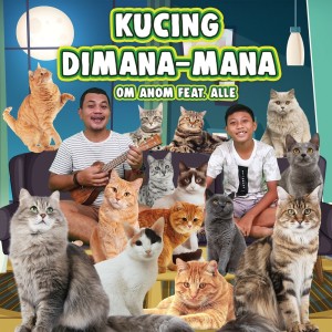 Listen to Kucing Dimana-Dimana song with lyrics from Om Anom