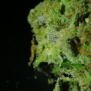 ดาวน์โหลดและฟังเพลง Redemption พร้อมเนื้อเพลงจาก Antek