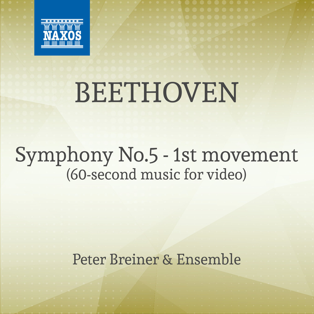 Symphony No.5 - 1st movement (60 sec Version for Tiktok)