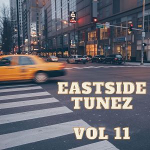 Various Artists的專輯Eastside Tunez Vol 11