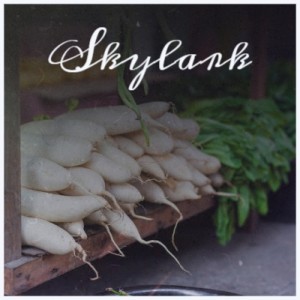 Various的专辑Skylark
