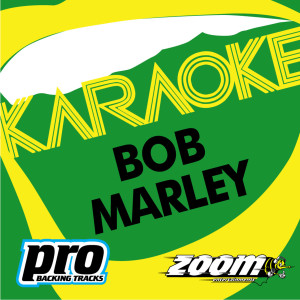 ดาวน์โหลดและฟังเพลง Could You Be Loved (In The Style Of 'Bob Marley') พร้อมเนื้อเพลงจาก Zoom Karaoke