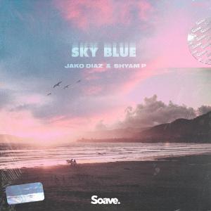 Shyam P的专辑Sky Blue
