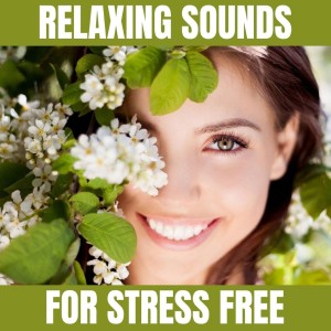 Listen to Without Stress song with lyrics from To Release Stress