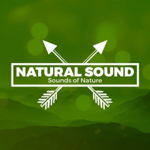 ดาวน์โหลดและฟังเพลง Riverbank พร้อมเนื้อเพลงจาก Sounds of Nature Relaxation