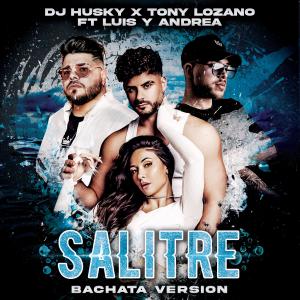 DJ Husky的專輯Salitre (feat. Luis y Andrea) [Bachata Version]