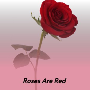 Listen to Roses Are Red song with lyrics from Bobby Vinton
