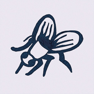Listen to Fly song with lyrics from Isaac Lewis