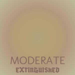 อัลบัม Moderate Extinguished ศิลปิน Various