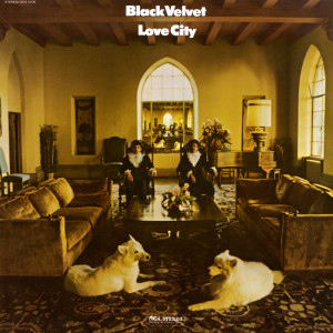 收聽Black Velvet的Love City歌詞歌曲