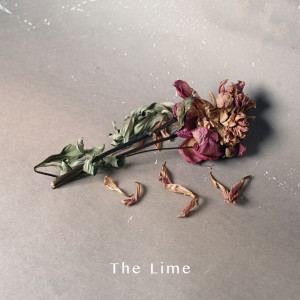 ดาวน์โหลดและฟังเพลง 우리 걸어온 이 길 (Inst.) พร้อมเนื้อเพลงจาก The lime