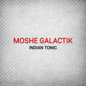 Album Indian Tonic from Moshe Galactik