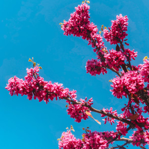 Listen to Clarity song with lyrics from Spa Music Relaxation