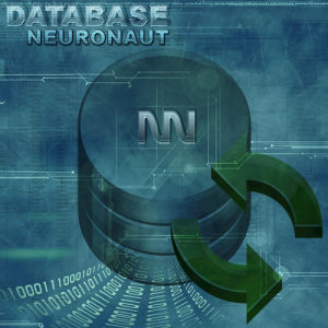 ดาวน์โหลดและฟังเพลง Database (Neuronaut’s 2008 Timewarp Mix) พร้อมเนื้อเพลงจาก Neuronaut