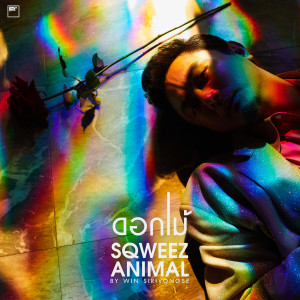 อัลบัม ดอกไม้ ศิลปิน Sqweez Animal