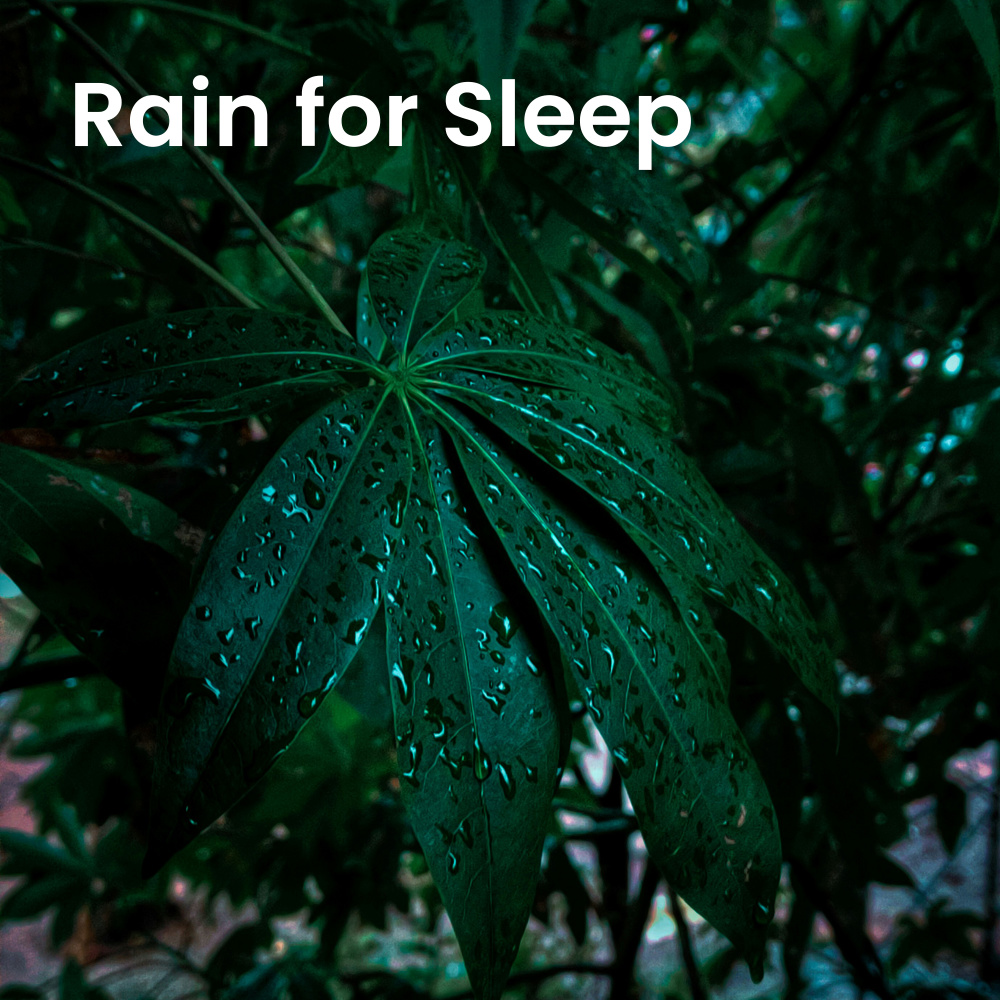Midnight Showers for Calm Sleep