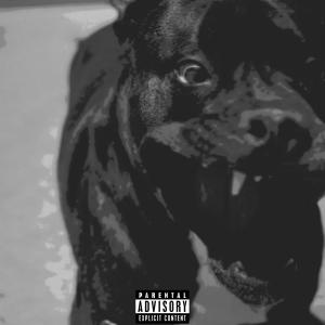 อัลบัม Dog Whistle (feat. BLVD) (Explicit) ศิลปิน $teph Friday$