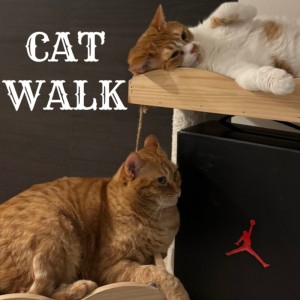 Listen to CAT WALK song with lyrics from Nakamichi