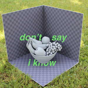 Tera Melos的專輯Don't Say I Know