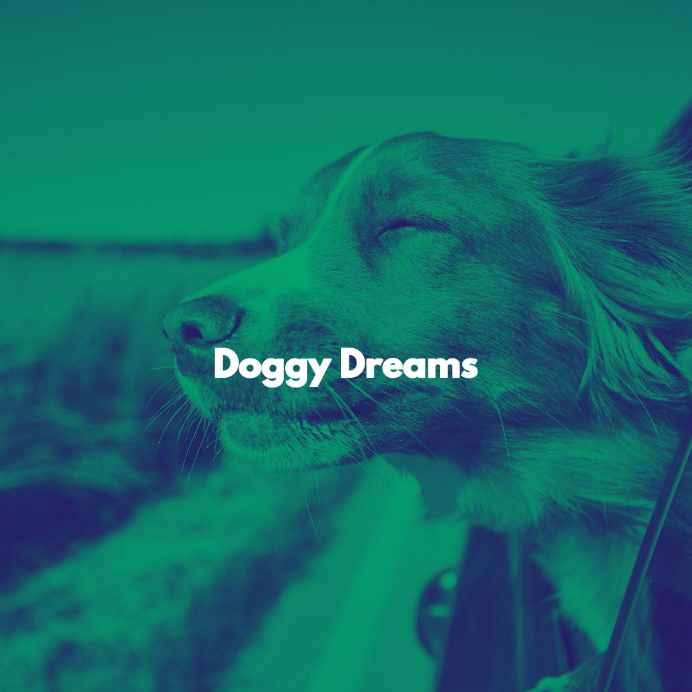 Superlative Ambiance for Traveling with Dogs