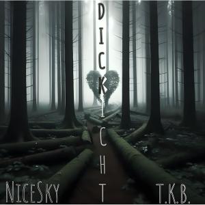 ดาวน์โหลดและฟังเพลง Dickicht (feat. T.K.B.) (Radio Edit) พร้อมเนื้อเพลงจาก Nicesky