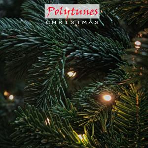 Album Christmas from Polytunes