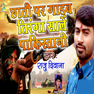 Album Chhati Par Gadab Tiranga Sale Pakistani from Raju Deewana