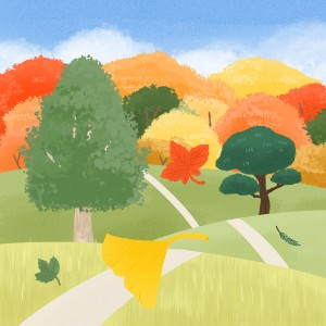 Album 나무 6 from 남진이