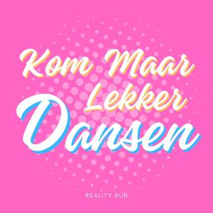 ดาวน์โหลดและฟังเพลง Kom Maar Lekker Dansen พร้อมเนื้อเพลงจาก Reality Run