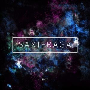 Album Saxifraga from Noy