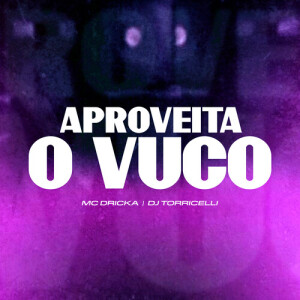 Album Aproveita o Vuco (Explicit) from 