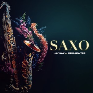 Jay Sax的专辑Saxo