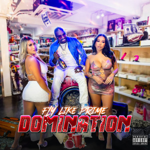 Fly Like Prime的專輯Domination (Explicit)