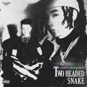 Album Two Head Snake 双头蛇 from Udiggwhatiamsayin