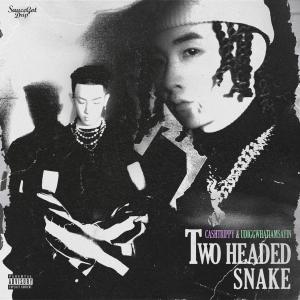 Udiggwhatiamsayin的專輯Two Head Snake 雙頭蛇