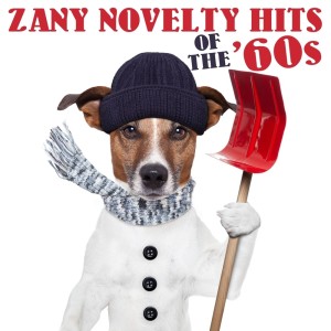 Various Artists的專輯Zany Novelty Hits of the '60s