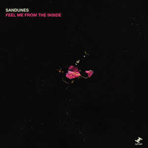Album Feel Me From The Inside oleh Sandunes