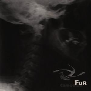 ดาวน์โหลดและฟังเพลง Kill Me พร้อมเนื้อเพลงจาก Fur