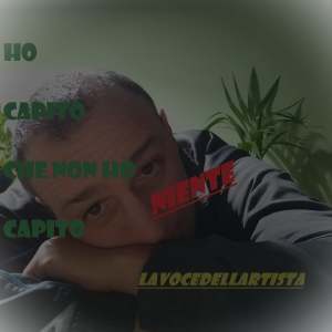 Album Ho capito che non ho capito niente from Lavocedellartista