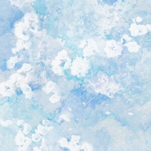 Album 碧水云境 from 柳不贰