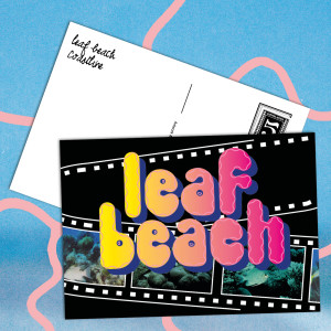 Album Coastline from Leaf Beach