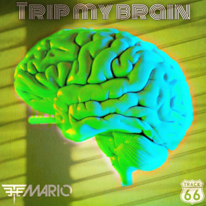 收听The Mario的Trip My Brain歌词歌曲