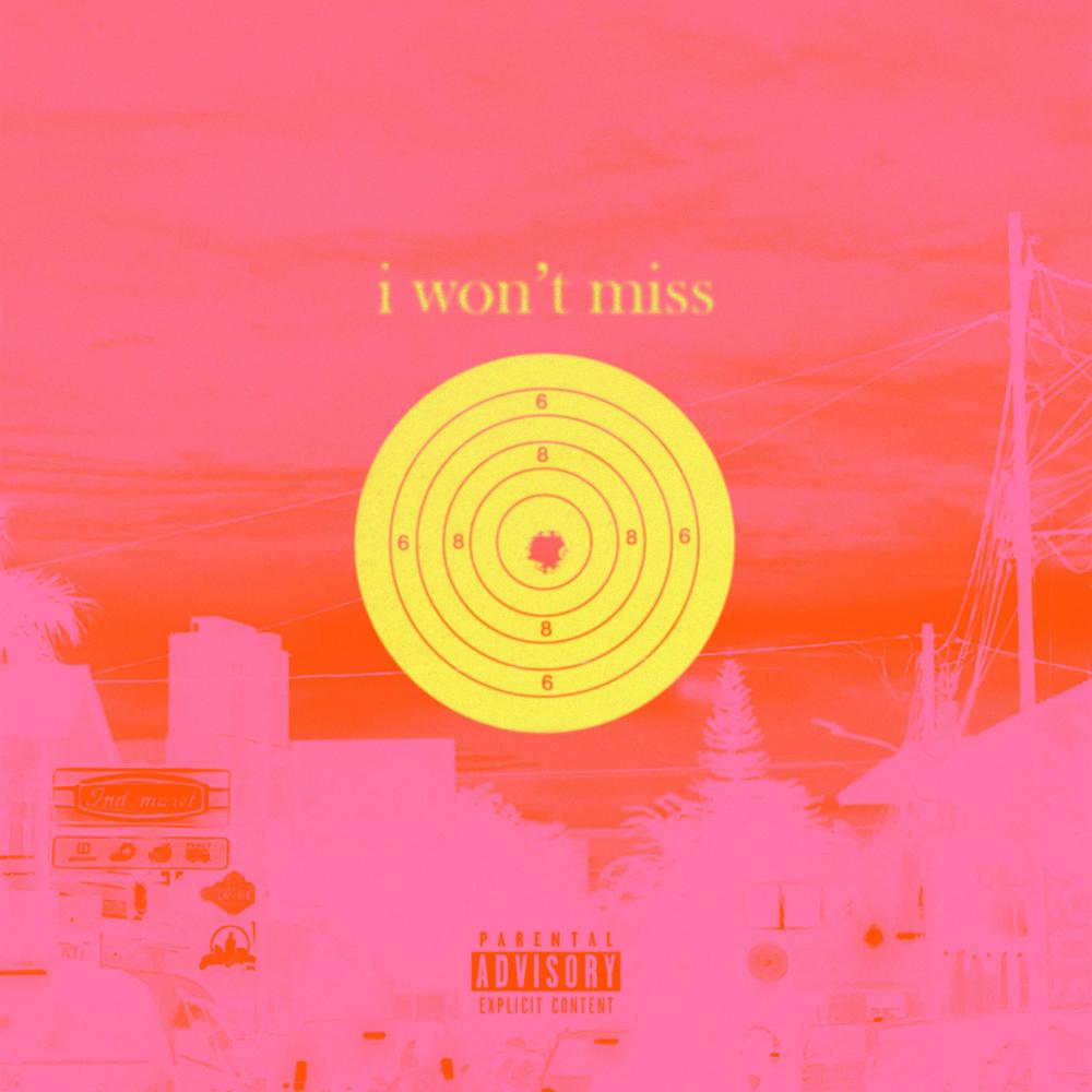 i won't miss (Explicit)
