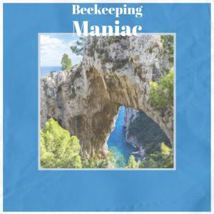 Dengarkan lagu Beekeeping Maniac nyanyian Dwin Vanger dengan lirik