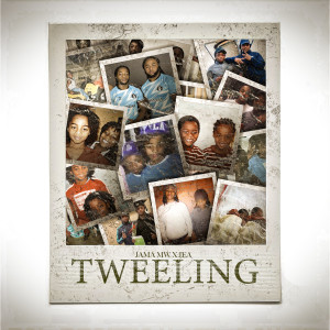 Album Tweeling (Explicit) from 金孝珍