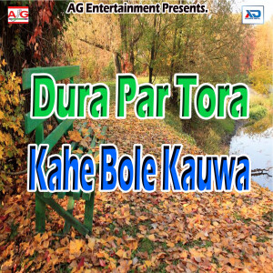 收聽Arvind Sawariya的Dil Tutal Umar 18 Me歌詞歌曲