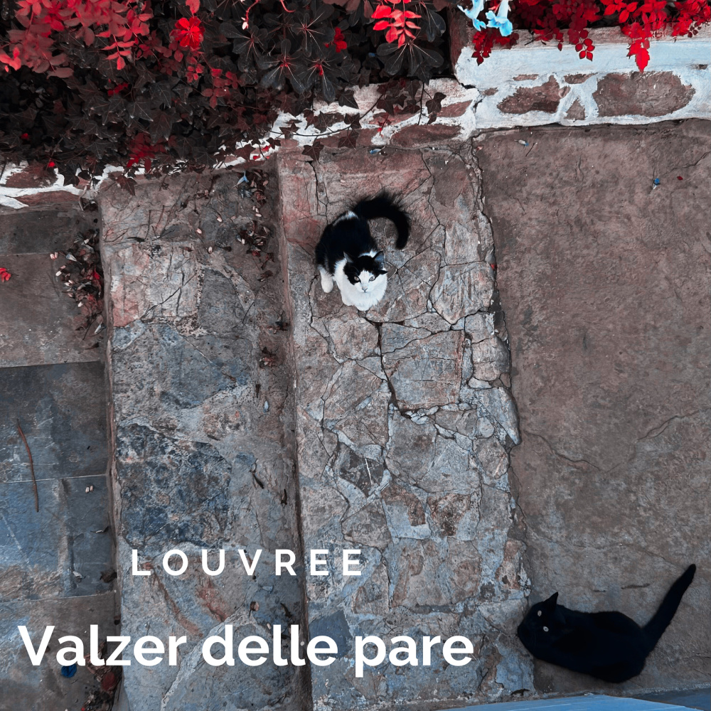 Valzer Delle Pare